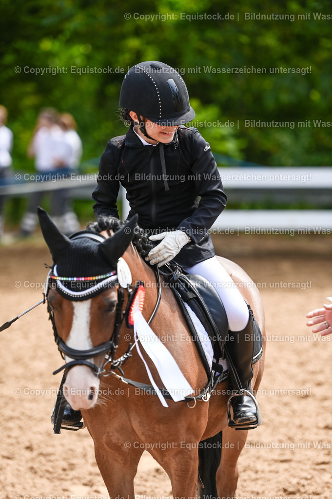20230716_10-3_Reiter-WB Schritt - Trab - Galopp_0221 | equistock