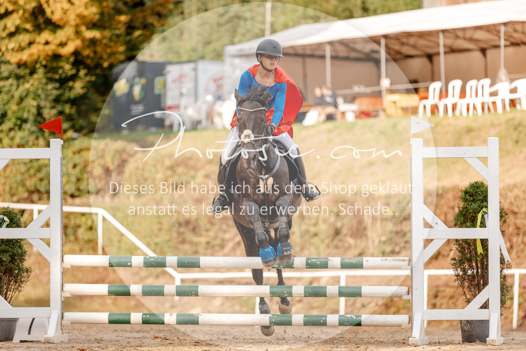 3I6A2696 | Stimmungsvolle Portraits und Reitsportfotografie im Ruhrgebiet und im Münsterland.

Pferdefotografie, Hundefotografie, Tierfotografie, Reportagen, Portraits von Tier und Mensch, Turnierfotografie in Bochum, Recklinghausen, Marl, Haltern am See, Dülmen.. - Realisiert mit Pictrs.com