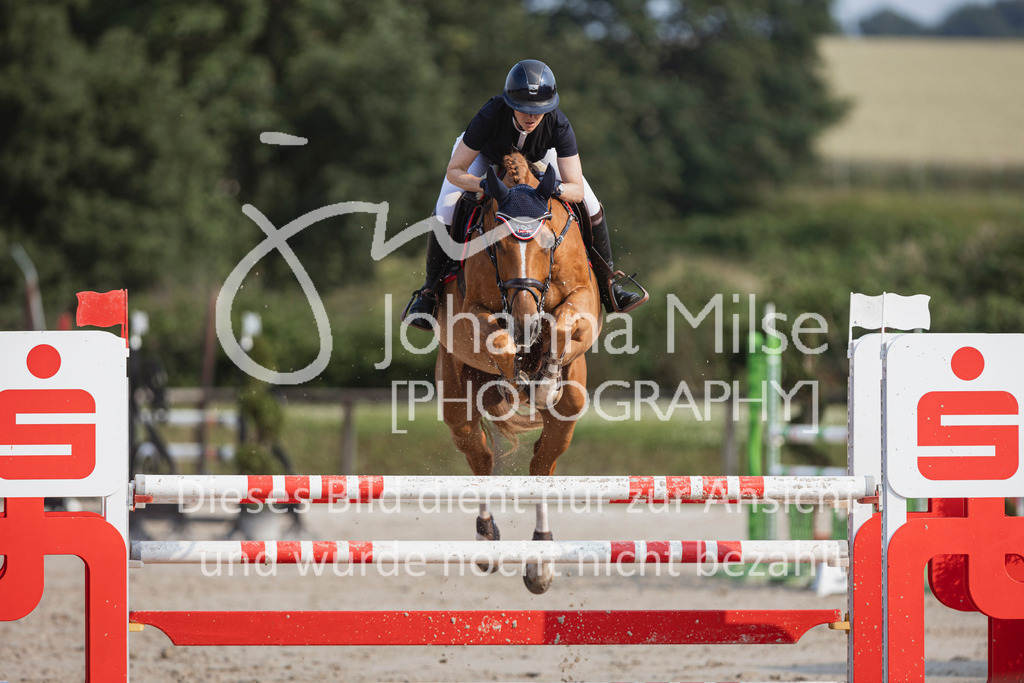 240627_LüPfSpTa_SprPf-M-262 | Deine schönsten Turniermomente als professionelle Fotos! Entdecke hochwertige Pferdesport-Fotografie im Online-Shop. Jetzt Fotos finden & bestellen!