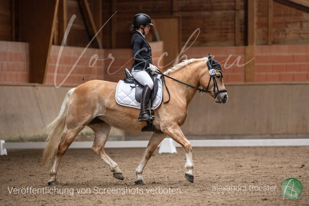 260328_Barop_07_020 | farbklaex.com