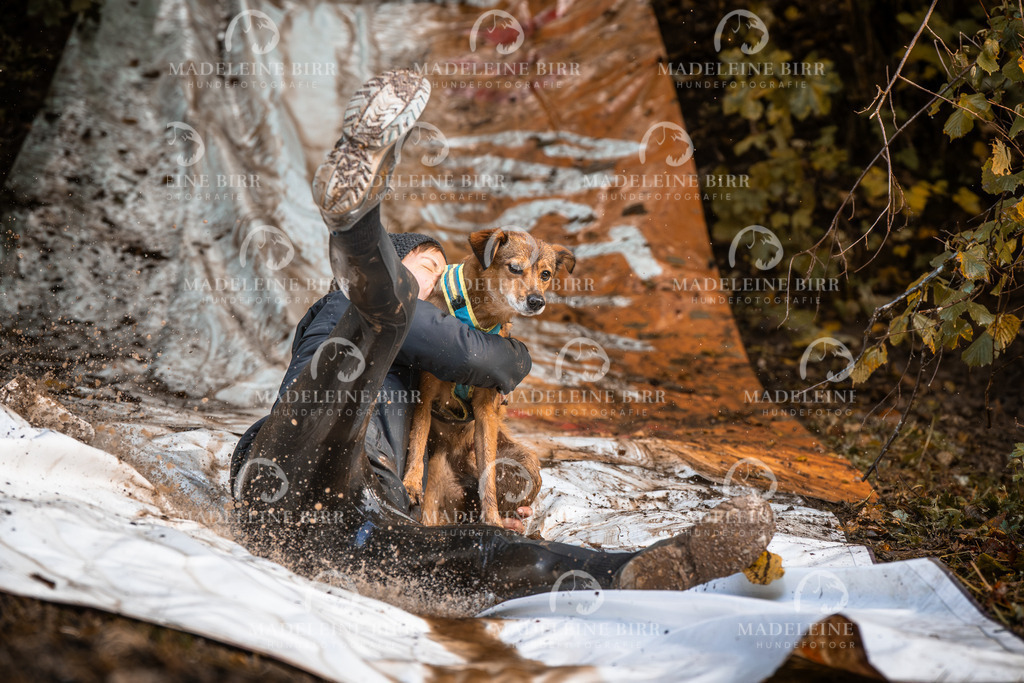 madeleinebirr-fotografie2025.campcanis.sa.15-16Uhr-467 | hundefotografie-birr