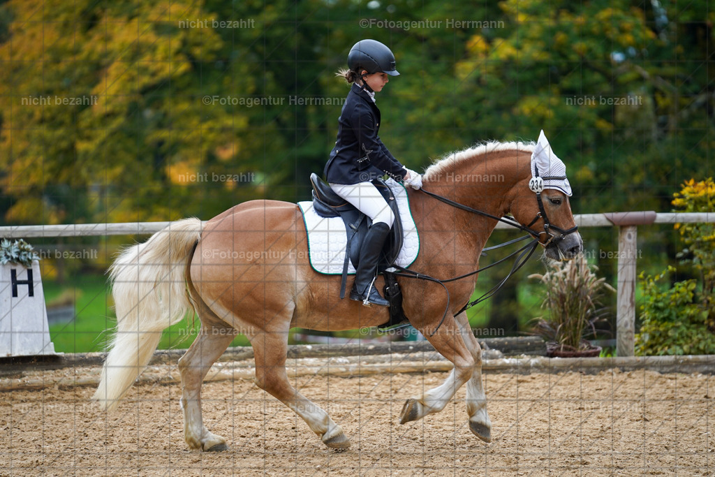 20221008-FAH01450 | Diessen am Ammersee, 2022, Dressur- und Springturnier, Reitsportbilder, Turnierfotografen Bayern, Pferdefotografen, Fotoagentur Herrmann, Turnierbilder