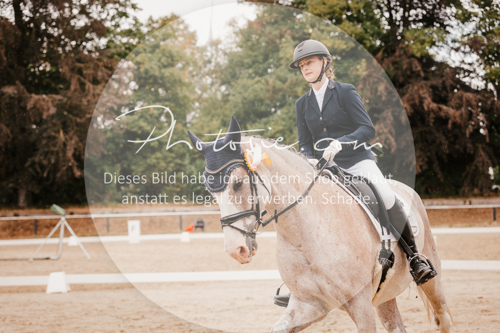 3I6A6438 | Stimmungsvolle Portraits und Reitsportfotografie im Ruhrgebiet und im Münsterland.

Pferdefotografie, Hundefotografie, Tierfotografie, Reportagen, Portraits von Tier und Mensch, Turnierfotografie in Bochum, Recklinghausen, Marl, Haltern am See, Dülmen.. - Realisiert mit Pictrs.com