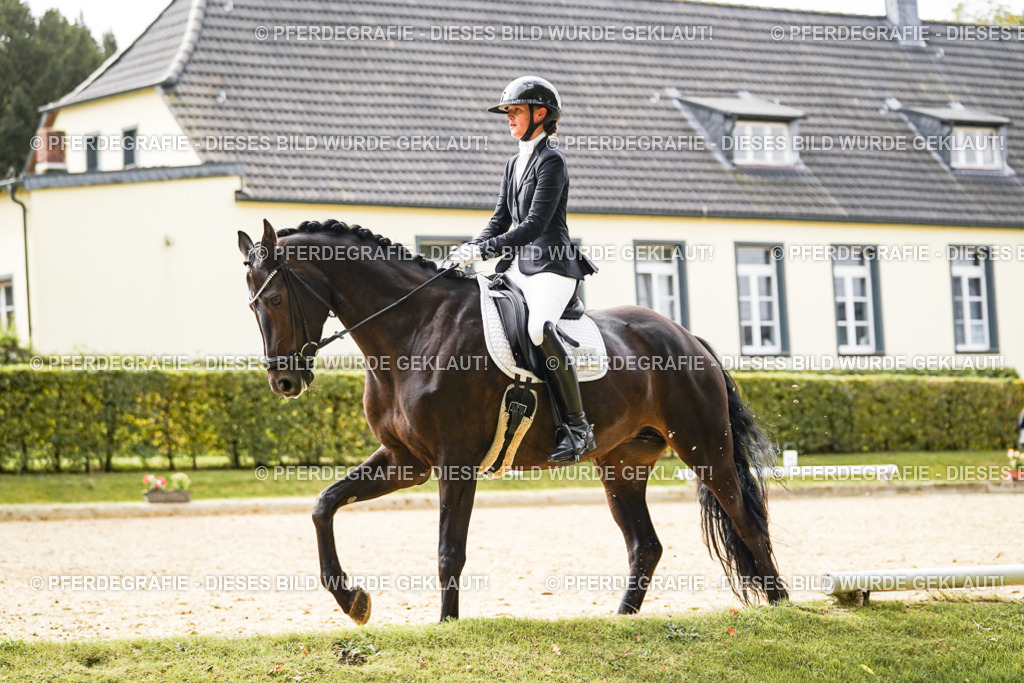 DSC00842 | Pferdegrafie