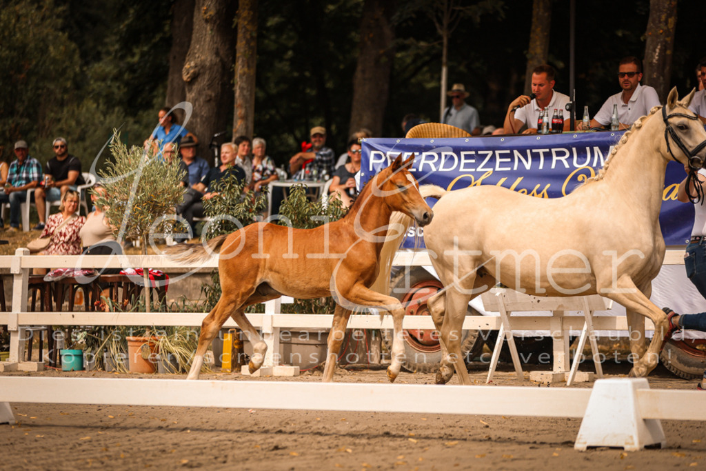 SaPA00078 | Leoni Ertmer Photography - Realisiert mit Pictrs.com