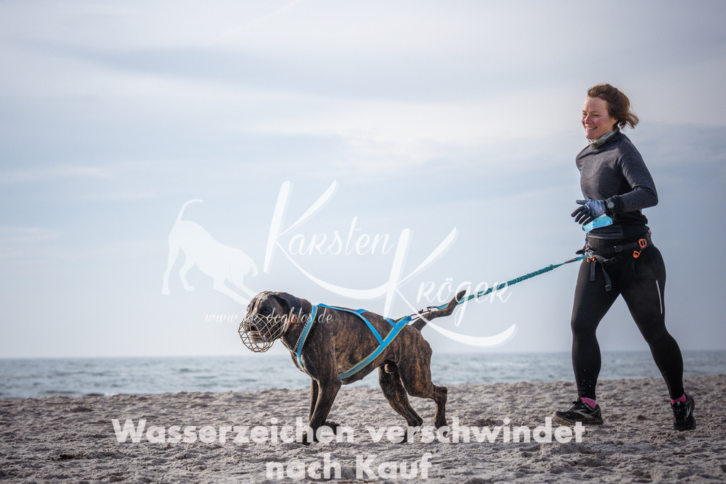 1017_ZZ94601 | kk-dogfotos