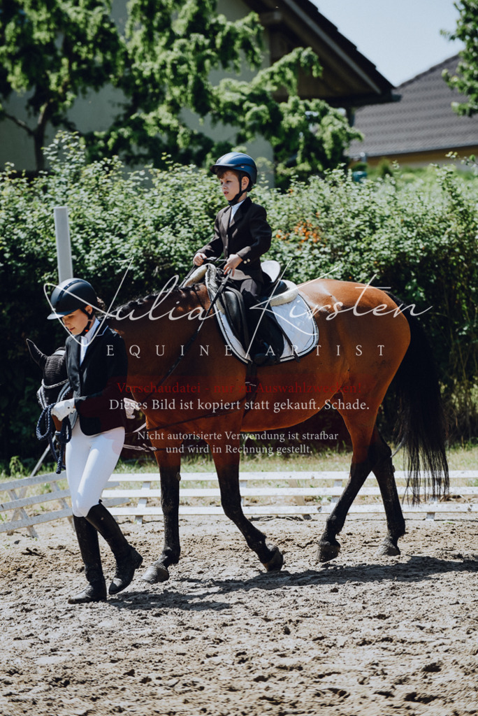DSC_2254 | Pferde- und Turnierfotografie in Westsachsen. Pferdeportraits, Auftragszeichnungen und intuitive Kunst.