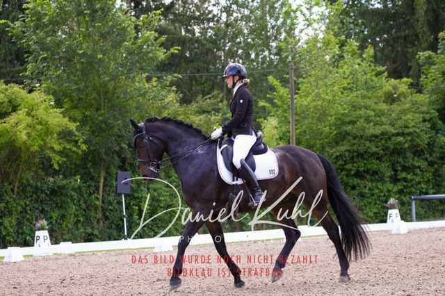 DKP41154 | Turnierfotos kaufen im Webshop von Daniel Kuhl Photography – entdecke professionelle Reitsportfotos aus Turnieren & Events. Hochwertige Turnierbilder online bestellen & sichern. Jetzt Fotos von Reitsportturnieren kaufen!