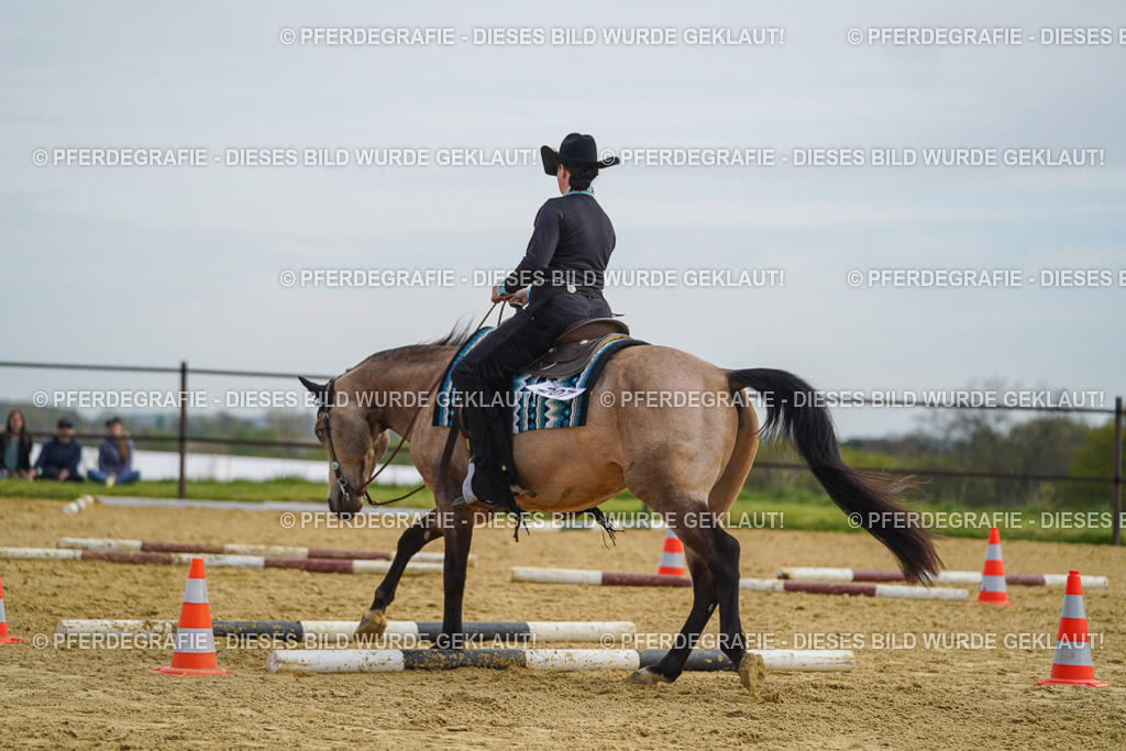 DSC03837 | Pferdegrafie