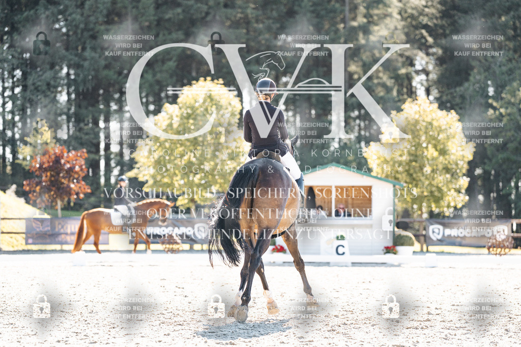 CK905896 | Turnierfotografie Pferdefotografie Trier Rheinland-Pfalz Pferdesport Reitsport Tierfotografie Sportfotografie Pferdevideo Pferdevideografie Equestrianvideography equestrianphotography  - Realisiert mit Pictrs.com