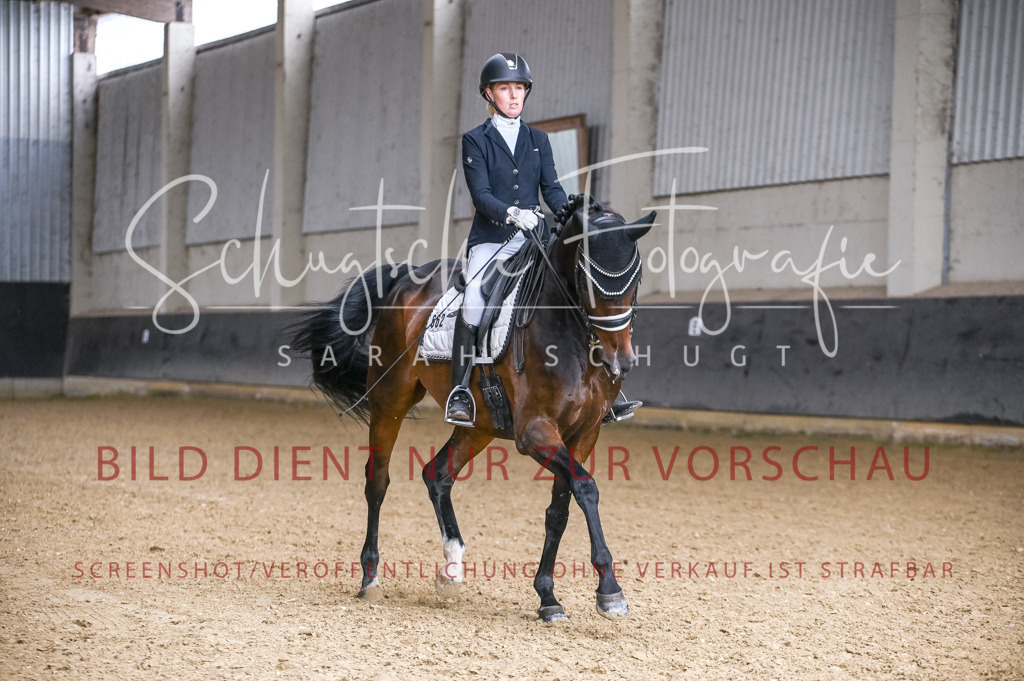 Schugtsche-Aluta25-57.Dressurprf.M1Kand-3 | Schugtsche Fotografie - Realisiert mit Pictrs.com