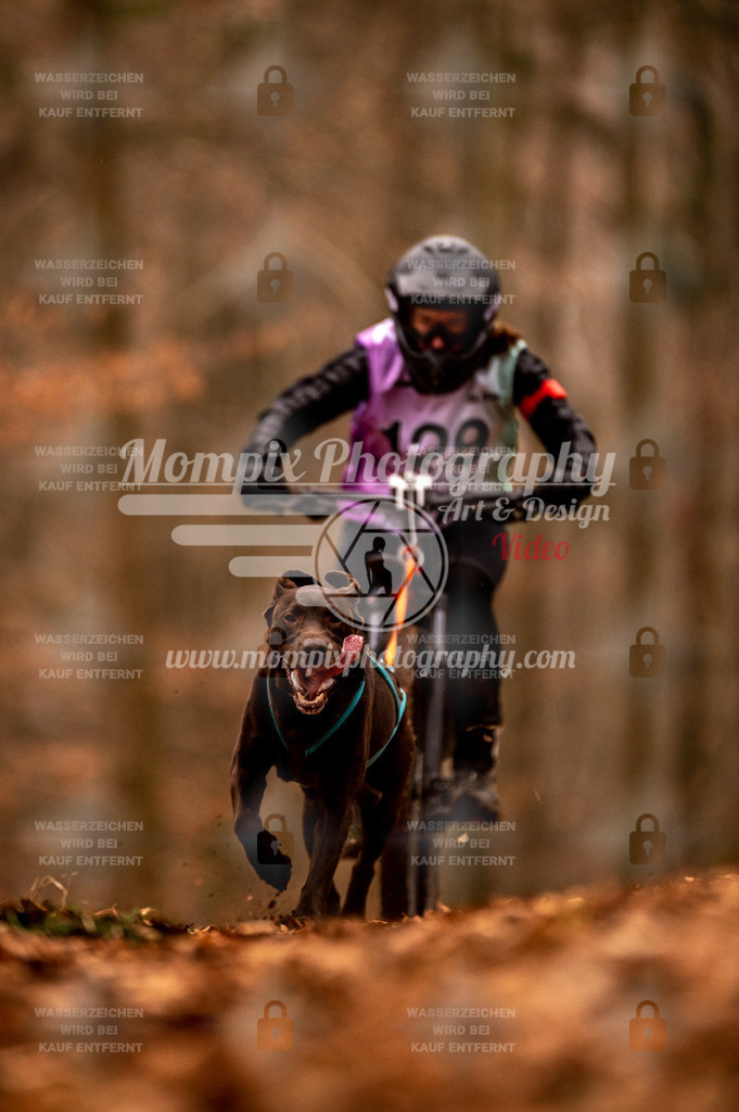 AKM_ST_2023_Son_Bike-129 | PayLife