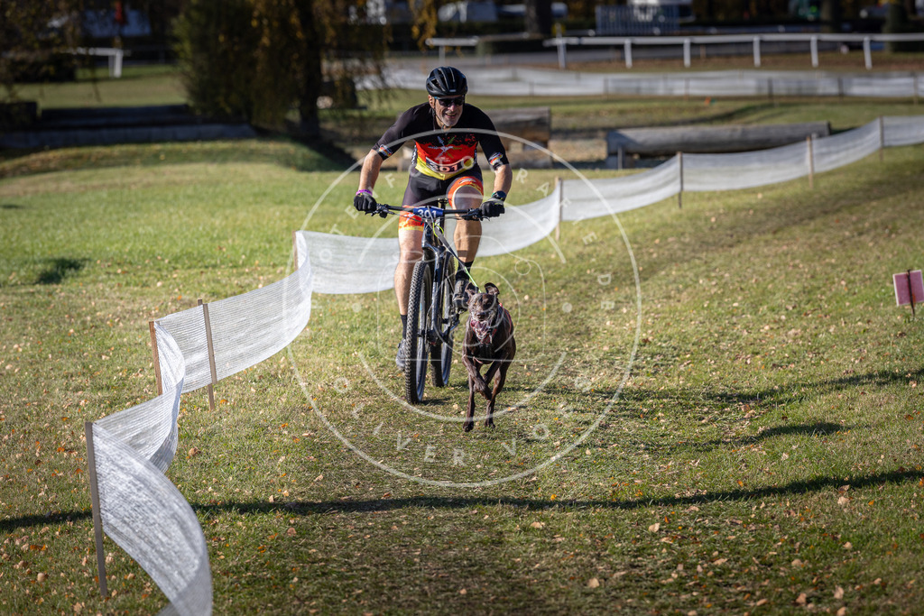 CaniXpix_DV3A6077 | Hundefotografie, Tierfotograf, Pfotenfotografie, Fotoshooting Hund, Hunde Portrait, Hundesport, Hundeportraits, Heideshooting, Hunde, Sportfotograf, Hundefotograf, Turnierhundsport, THS,  - Realisiert mit Pictrs.com