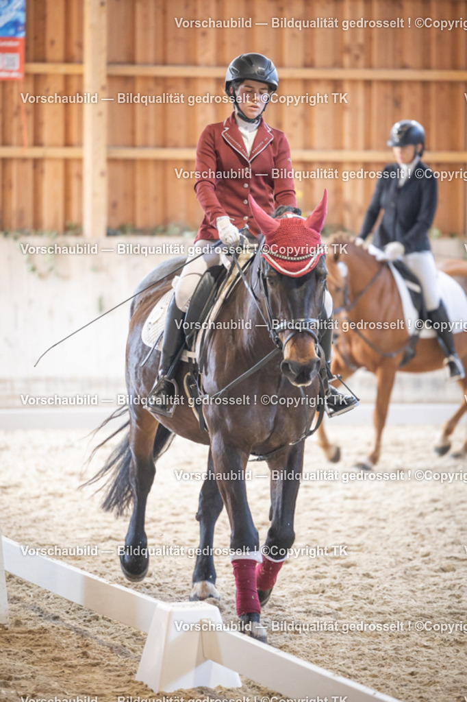 _D5A5505 | Emotionale Pferde- & People-Fotografie rund um Heidelberg, Leimen & Umgebung. Natürliche Fotos von Pferd, Mensch & Familie. Jetzt Termin sichern!