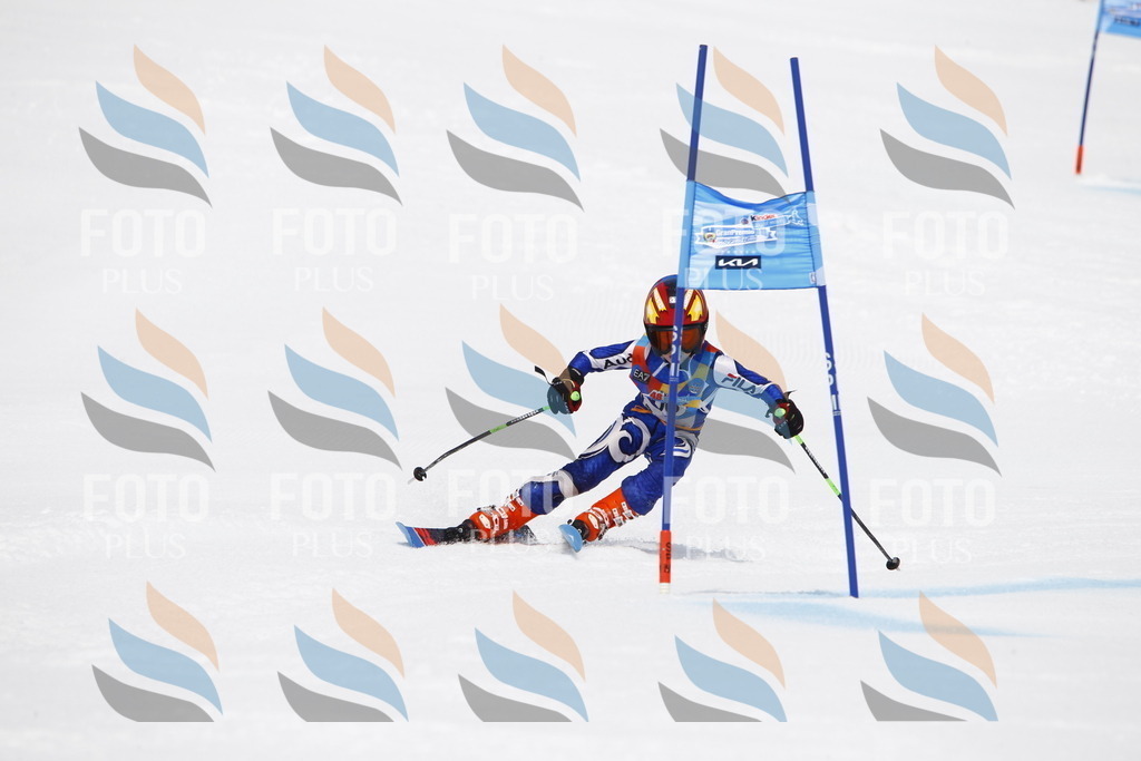 _U3G7615 | holidayphoto