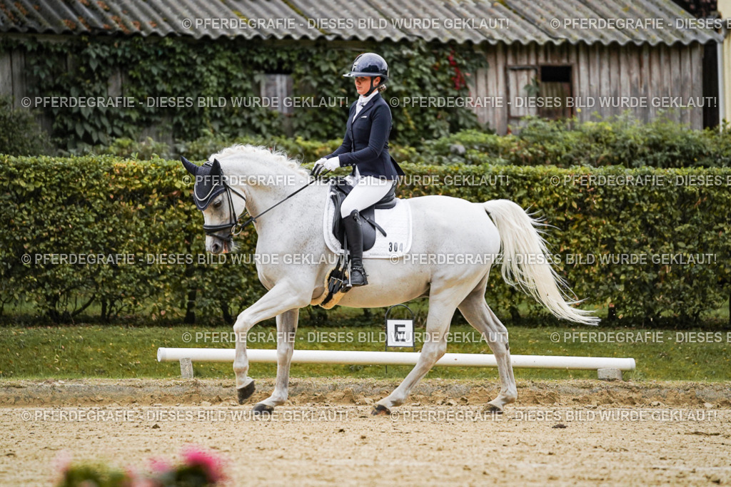 DSC06614 | Pferdegrafie