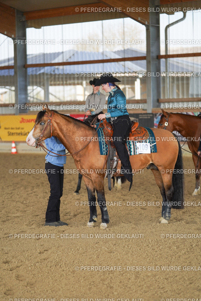 DSC09991 | Pferdegrafie