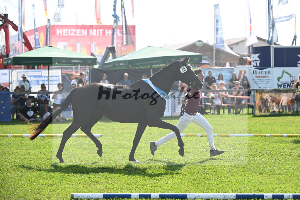 Kat-Nr. 13 Sunrise_Hoffmann_34240299 | hf-fotografie - Realisiert mit Pictrs.com