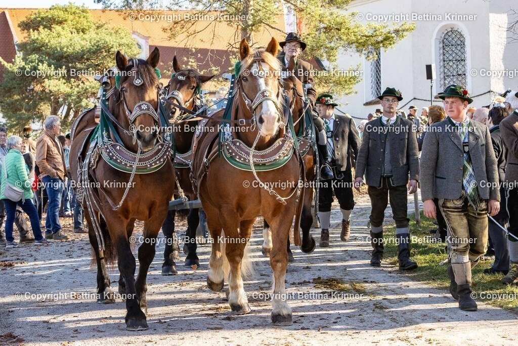 LBT25-1180 | foto-bettina-krinner - Realisiert mit Pictrs.com