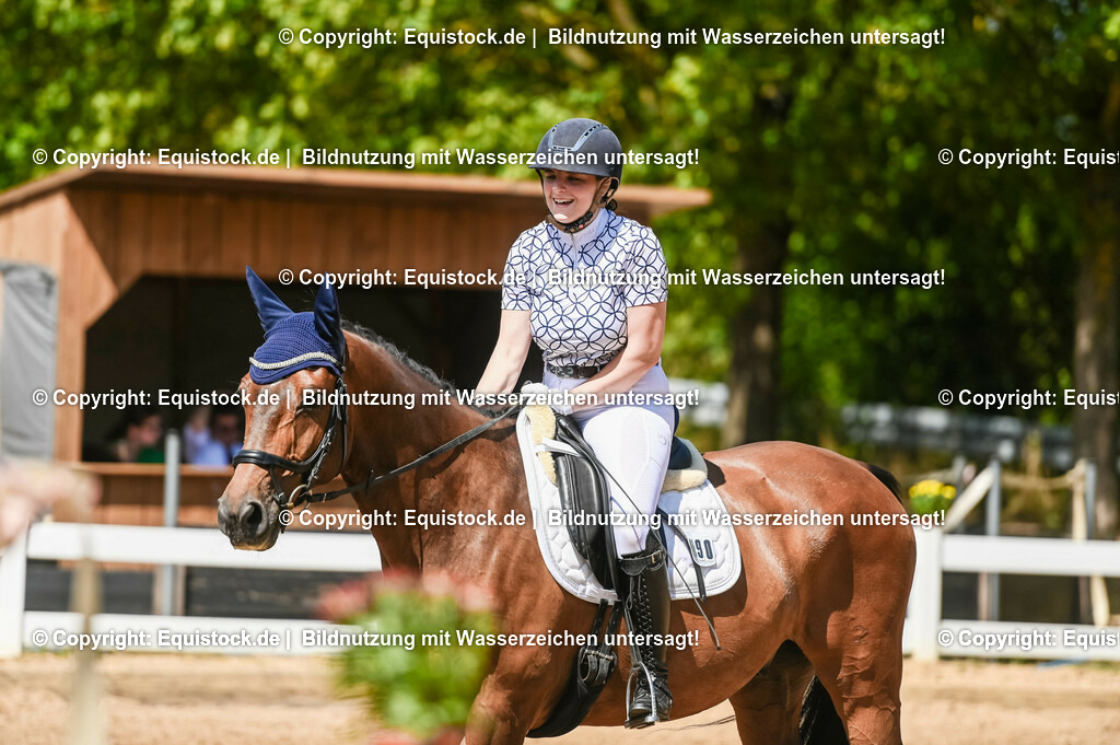 20230715_02_Dressurreiterprüfung Kl.L_0158 | equistock