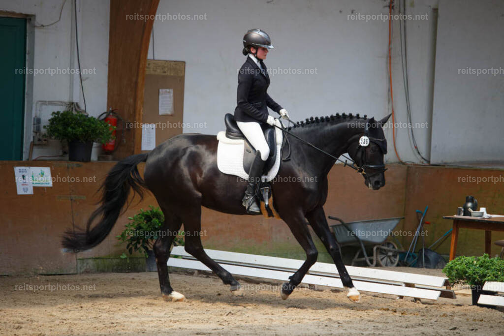 JHE_7514 | JoYa Fotografie - Realisiert mit Pictrs.com