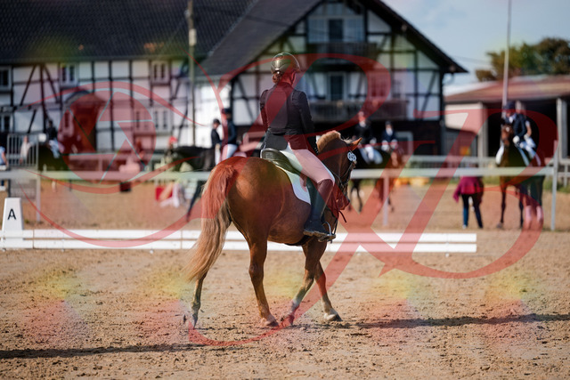 2026_10_03_Siefer-Hof_122112_Z63_44746730 | Professionelle Reitsport-, Turnier- und Eventfotografie von Robert Broda. Galerien mit ausgewählten und bearbeiteten Bildern direkt online ansehen und bestellen.