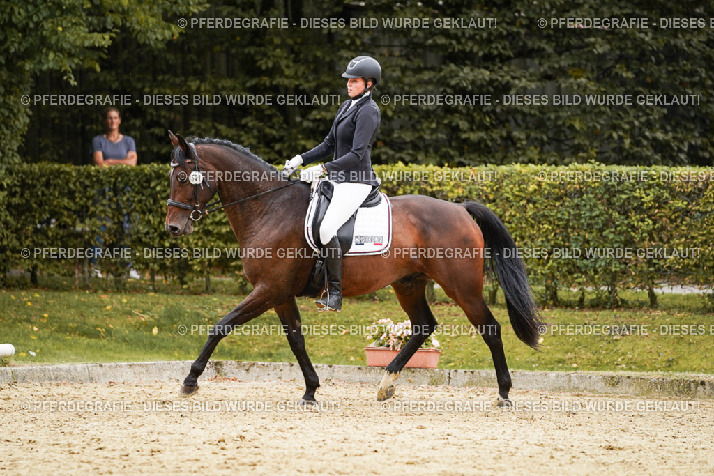 DSC00097 | Pferdegrafie