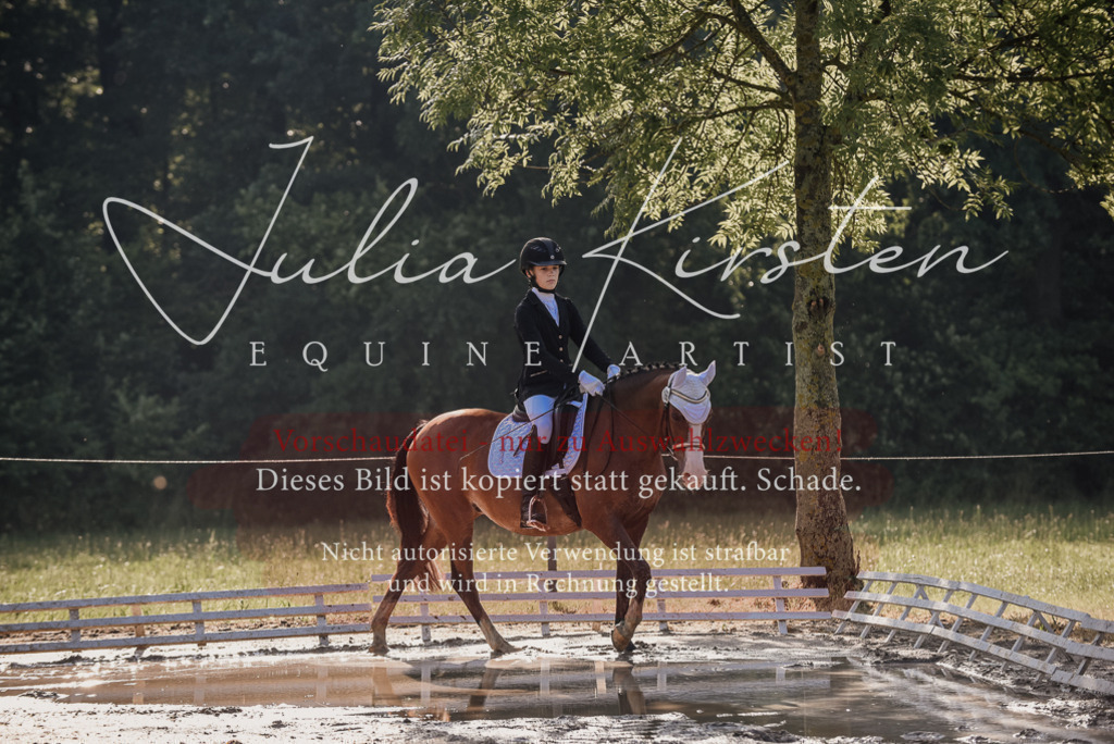 DSC_7765 | Pferde- und Turnierfotografie in Westsachsen. Pferdeportraits, Auftragszeichnungen und intuitive Kunst.