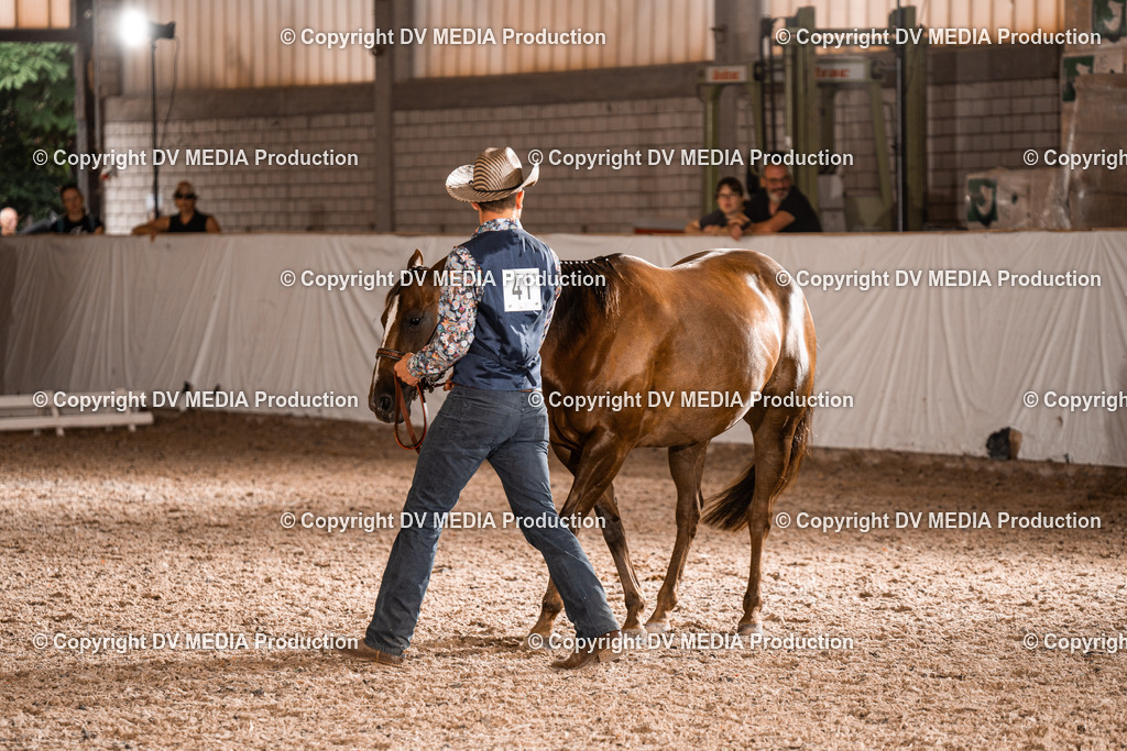 ZH200206 | dv-media-shop - Realisiert mit Pictrs.com