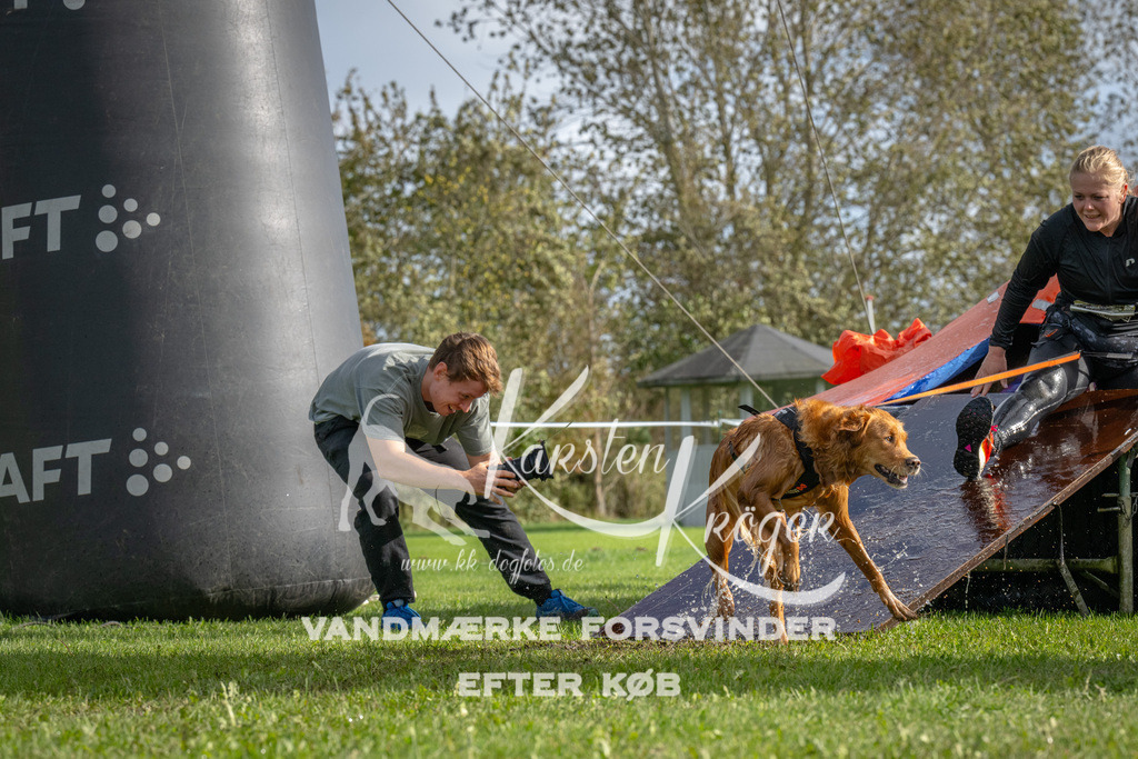 1212-92791 | kk-dogfotos