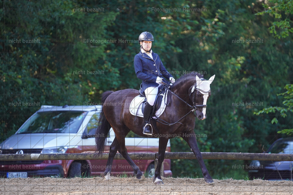 20240706-FAH04459 | Grafing Turnierfotos, Reitverein Ebersberg, Turnierfotografen Bayern, reitsportbilder, Pferdefotograf, reitsportfotograf, Sportbilder, Reitsportfotografie, Fotoagentur Herrmann, Turnierfotograf