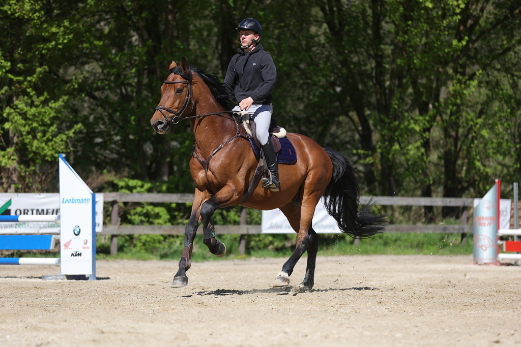 0P6A8167 | Willkommen bei Brunnmayr - Design & Fotografie – Ihrem Spezialisten für Reitturniere und Pferdeveranstaltungen in Oberösterreich, Salzburg und Bayern! Seit über 17 Jahren sind wir leidenschaftlich dabei.