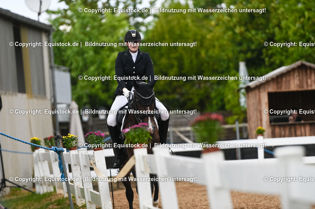 20230716_01_Dressurprüfung Kl.M_0514 | equistock