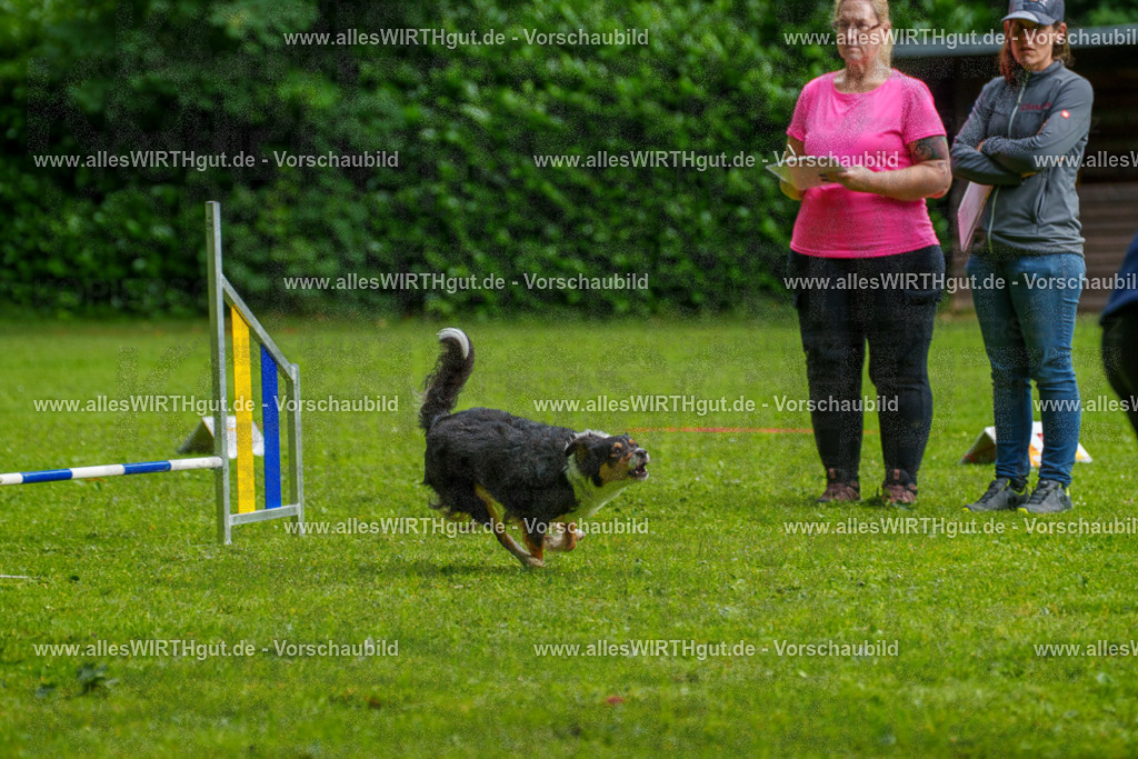 @allesWIRTHgut_Tierfotografie - www.allesWIRTHgut.de - 7R502367 | Professionelle Tierfotografie in Mönchengladbach von Daniel Wirth (allesWIRTHgut). Liebevolle & natürliche Bilder von Hunden & Katzen für unvergessliche Erinnerungen.
