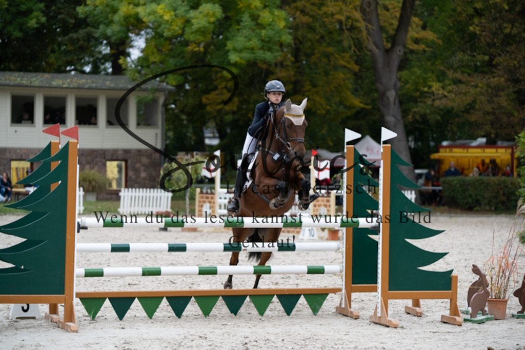 A7V00131 | Pferdefotograf