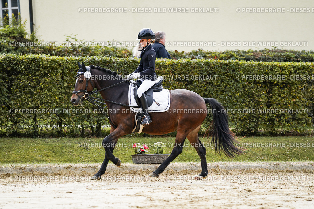 DSC05534 | Pferdegrafie