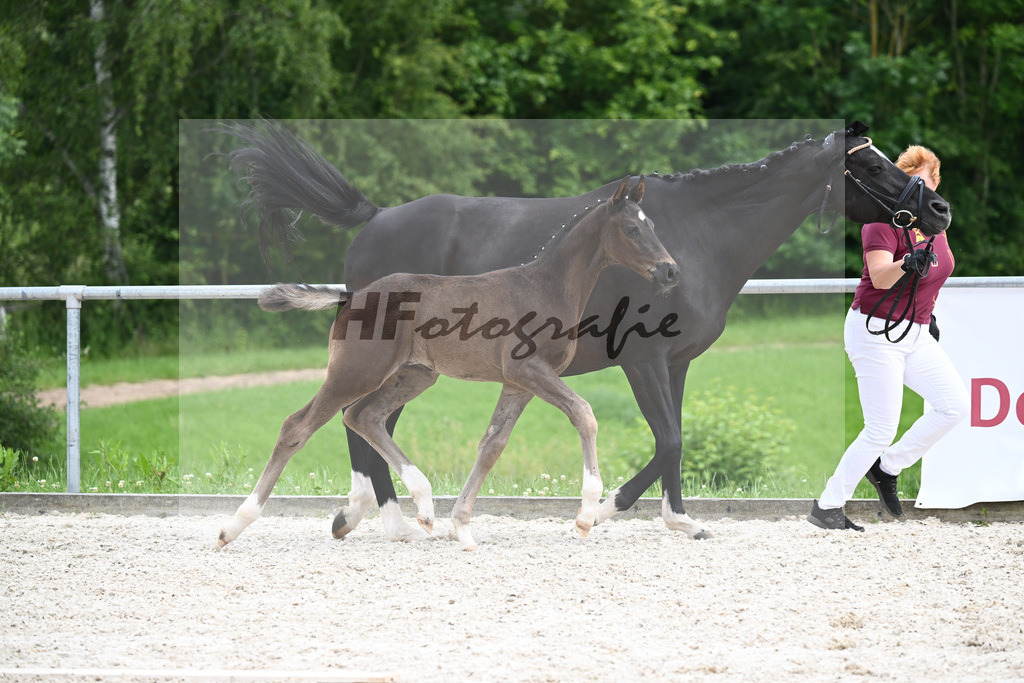 Segantini x Desperados_HF_Kloessinger_20240915 | hf-fotografie - Realisiert mit Pictrs.com