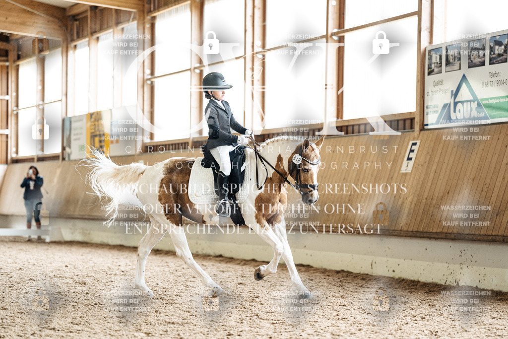 CK900485 | Turnierfotografie Pferdefotografie Trier Rheinland-Pfalz Pferdesport Reitsport Tierfotografie Sportfotografie Pferdevideo Pferdevideografie Equestrianvideography equestrianphotography  - Realisiert mit Pictrs.com