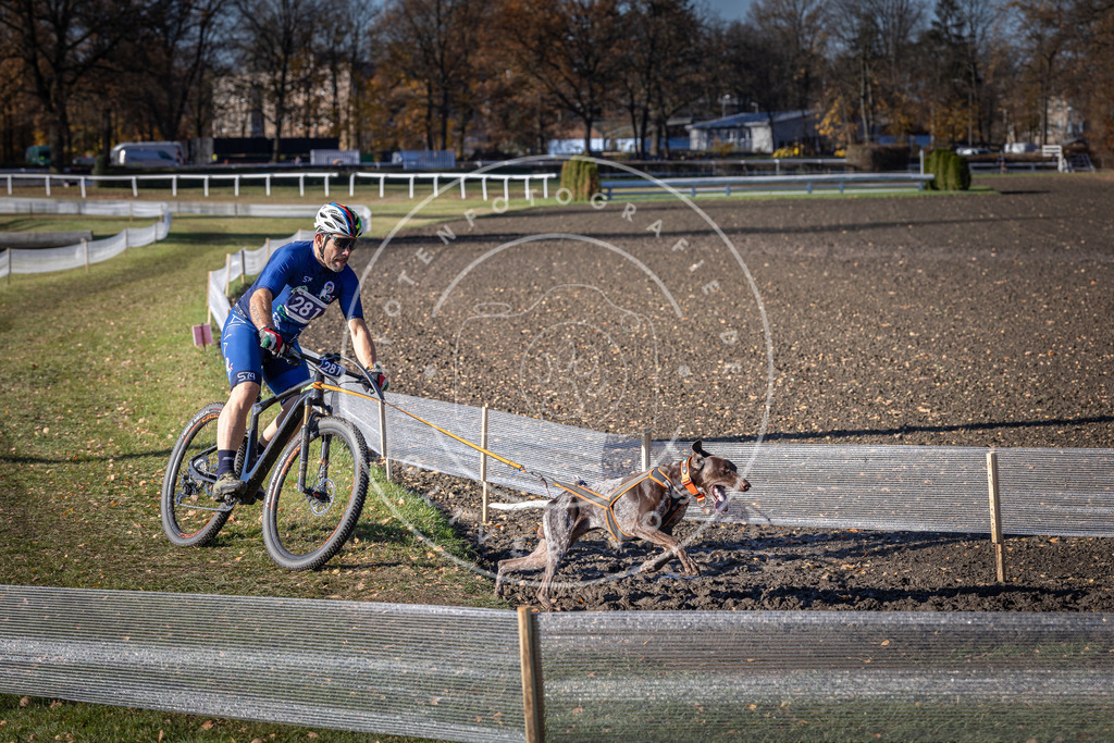 CaniXpix_DV3A5526 | Hundefotografie, Tierfotograf, Pfotenfotografie, Fotoshooting Hund, Hunde Portrait, Hundesport, Hundeportraits, Heideshooting, Hunde, Sportfotograf, Hundefotograf, Turnierhundsport, THS,  - Realisiert mit Pictrs.com