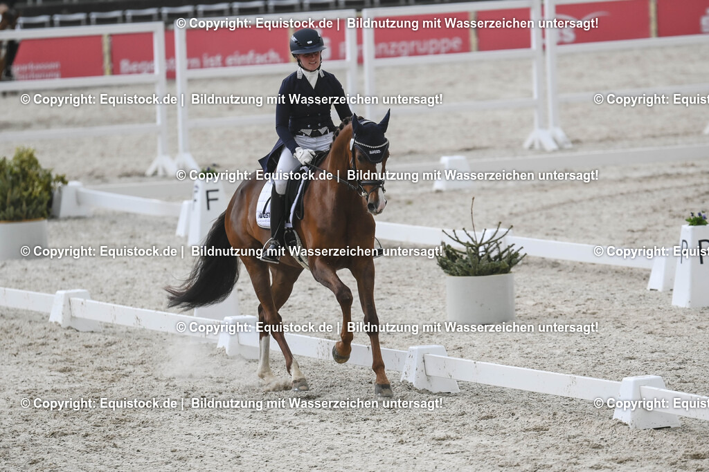 20250516_CCI2_Dressur_0582 | Foto: Thomas Hartig