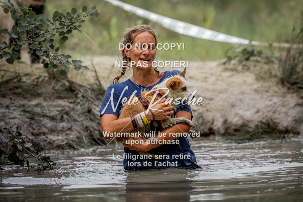 nelerasche_so0800-0930_198 | nelerasche