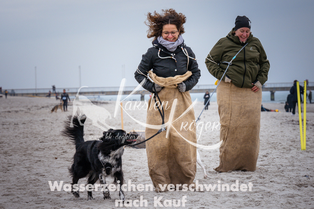 1230_ZZ94565 | kk-dogfotos