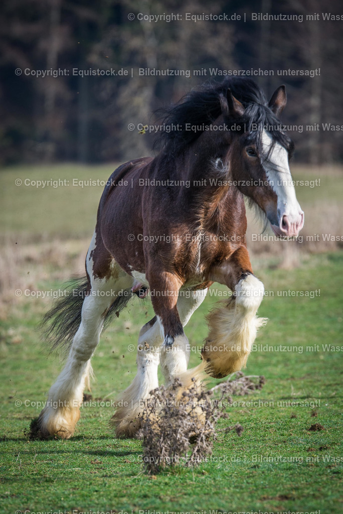 _TPA5130-Bearbeitet | equistock