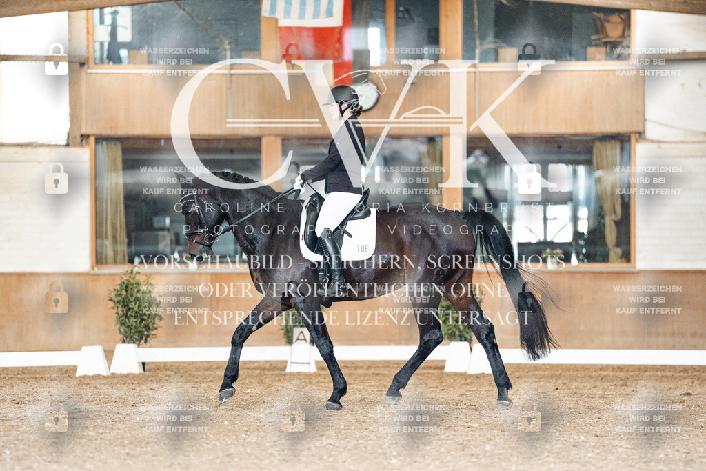 CK902052 | Turnierfotografie Pferdefotografie Trier Rheinland-Pfalz Pferdesport Reitsport Tierfotografie Sportfotografie Pferdevideo Pferdevideografie Equestrianvideography equestrianphotography  - Realisiert mit Pictrs.com