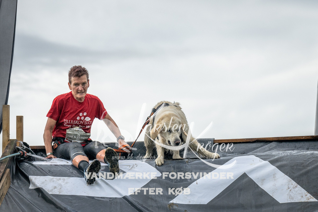 1209_ZZ94428 | kk-dogfotos