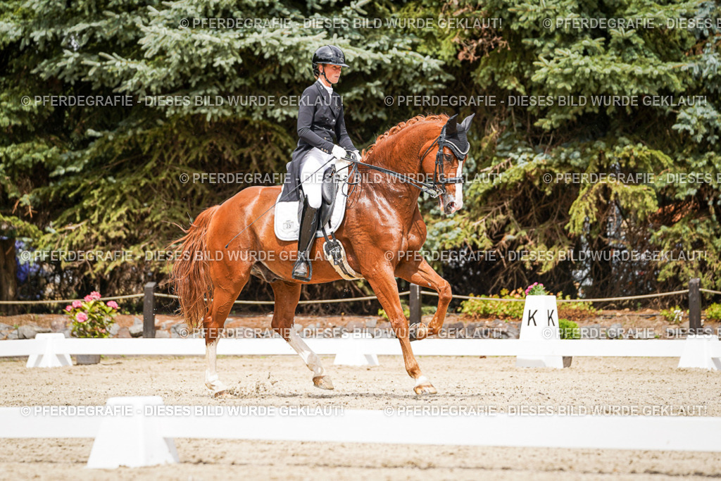 DSC05796 | Pferdegrafie