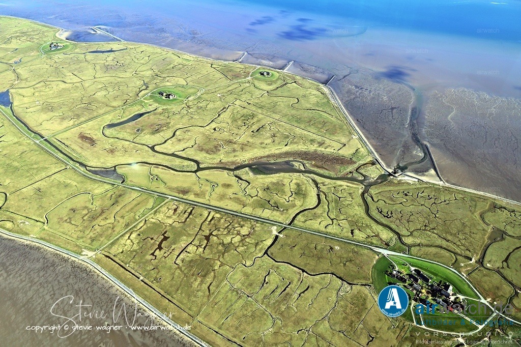 Ein weiterer interessanter Ort auf Langeneß ist die Peterswarft - Luftbild | Ein weiterer interessanter Ort ist die Peterswarft, wo naturkundliche Besonderheiten der Hallig vorgestellt werden, darunter Pflanzen der Salzwiese und die Vogelwelt von Langeneß.