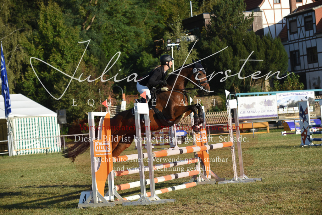 DSC_4854 | Pferde- und Turnierfotografie in Westsachsen. Pferdeportraits, Auftragszeichnungen und intuitive Kunst.