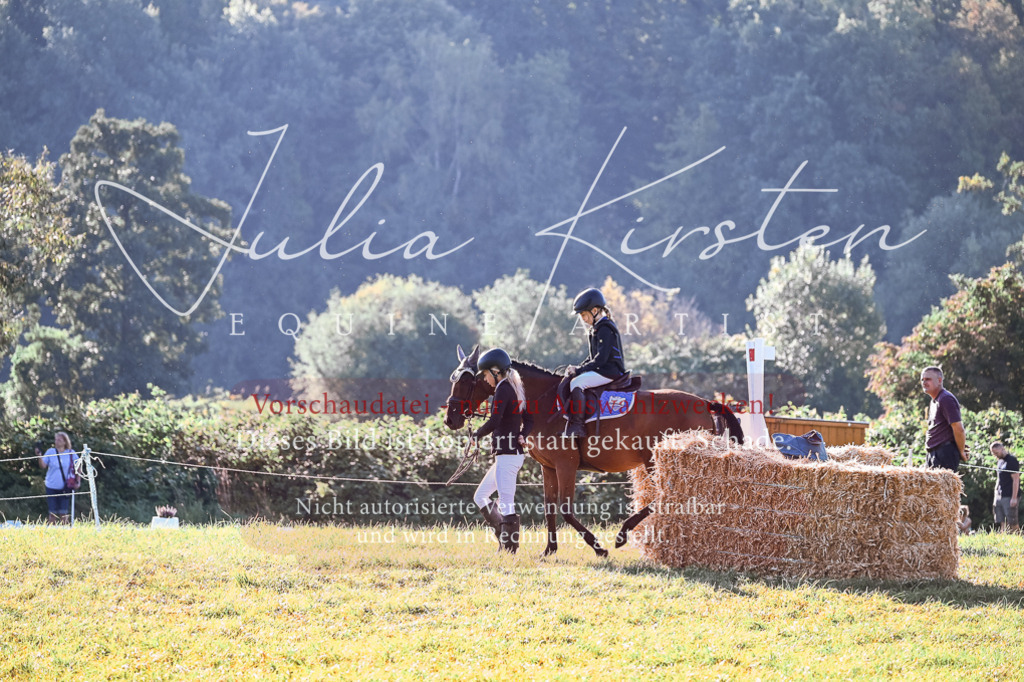 DSC_0222 | Pferde- und Turnierfotografie in Westsachsen. Pferdeportraits, Auftragszeichnungen und intuitive Kunst.