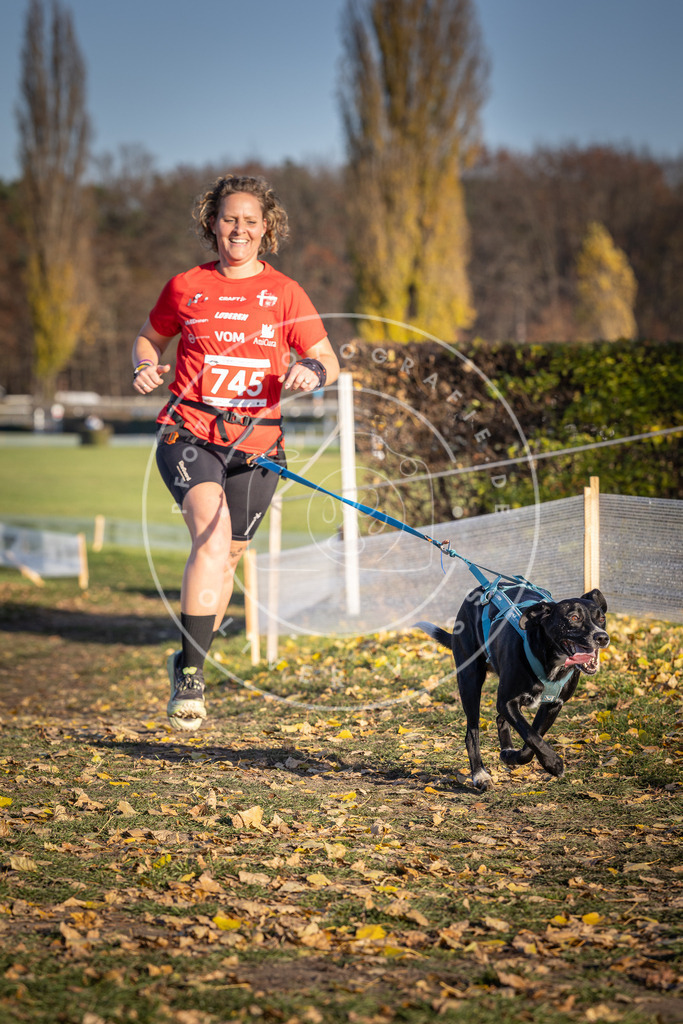 CaniXpix_DV3A2344 | Hundefotografie, Tierfotograf, Pfotenfotografie, Fotoshooting Hund, Hunde Portrait, Hundesport, Hundeportraits, Heideshooting, Hunde, Sportfotograf, Hundefotograf, Turnierhundsport, THS,  - Realisiert mit Pictrs.com